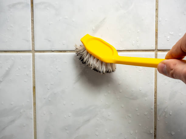 Best Residential Mold Removal  in Scissors, TX