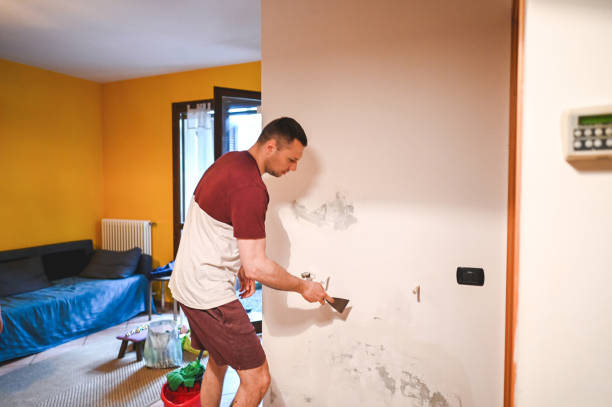 Best Mold Remediation  in Scissors, TX